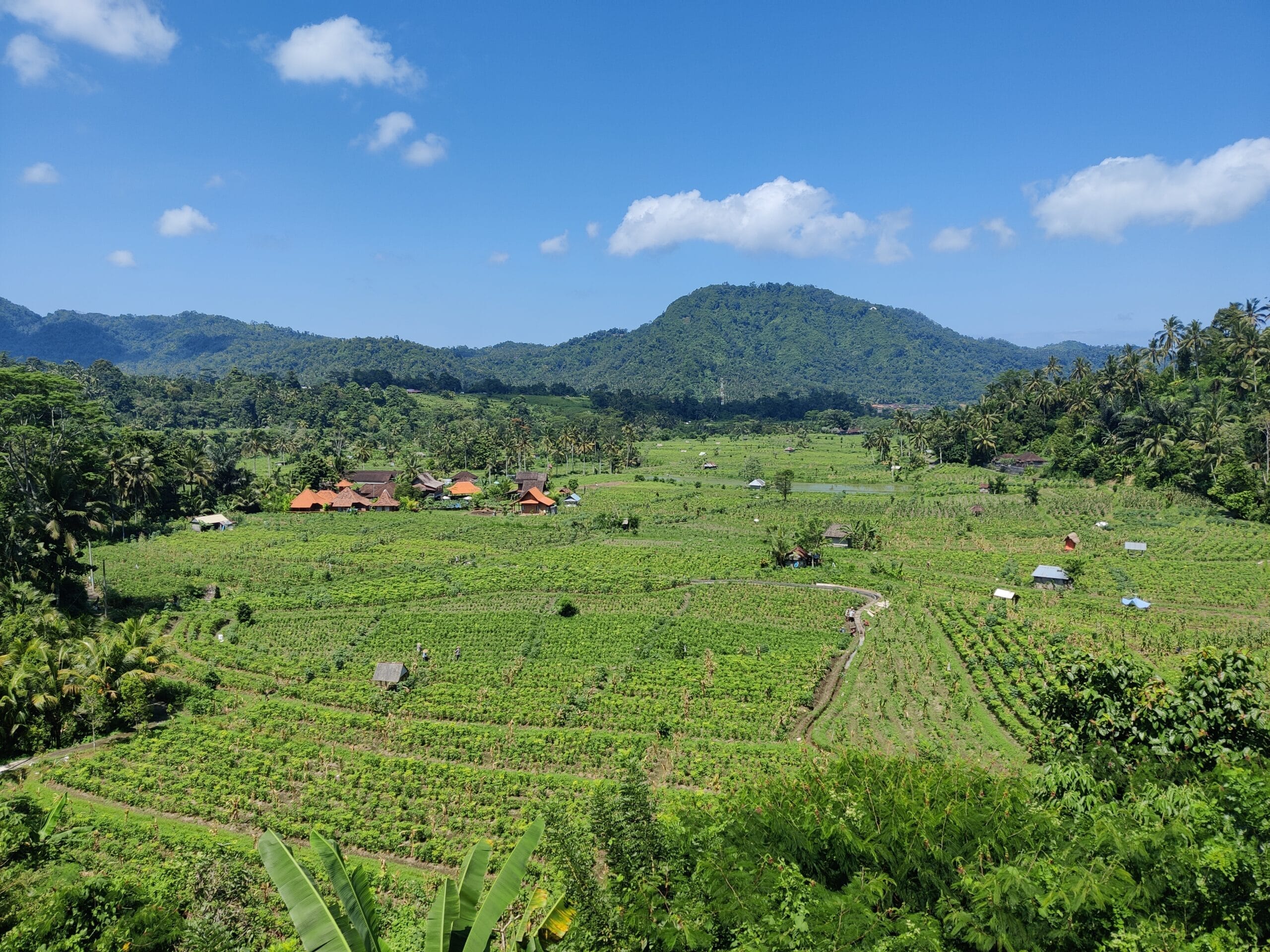 Vista panorâmica dos arrozais em Sidemen, Bali, com terraços verdes que se estendem pelas montanhas, criando uma paisagem serena e pitoresca