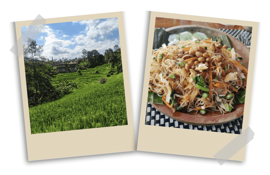Paisagens dos arrozais de Sidemen, Bali, com campos de arroz vibrantes e um prato de Bihun Goreng, macarrão de arroz frito típico da Indonésia